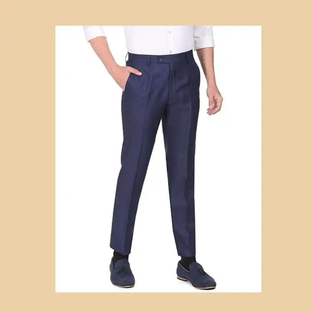 Arrow Men's Regular Formal Trouser