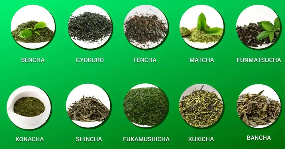 different types: Best Green Tea In India